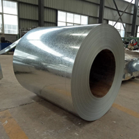 Filming Galvanized Steel Coil with 508mm Diameter for Outside Walls